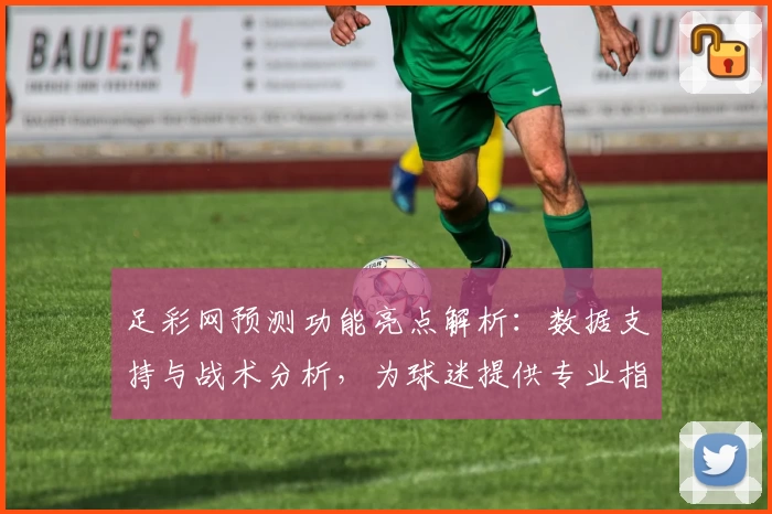 足彩网预测功能亮点解析：数据支持与战术分析，为球迷提供专业指导