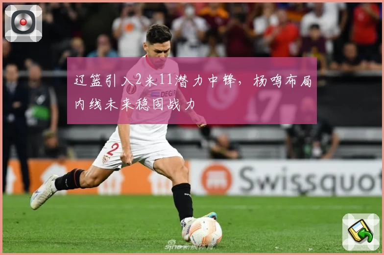 辽篮引入2米11潜力中锋，杨鸣布局内线未来稳固战力