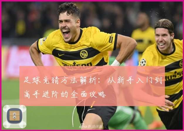 足球竞猜方法解析：从新手入门到高手进阶的全面攻略