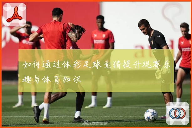 如何通过体彩足球竞猜提升观赛乐趣与体育知识