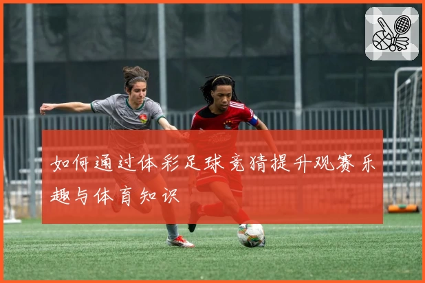 如何通过体彩足球竞猜提升观赛乐趣与体育知识
