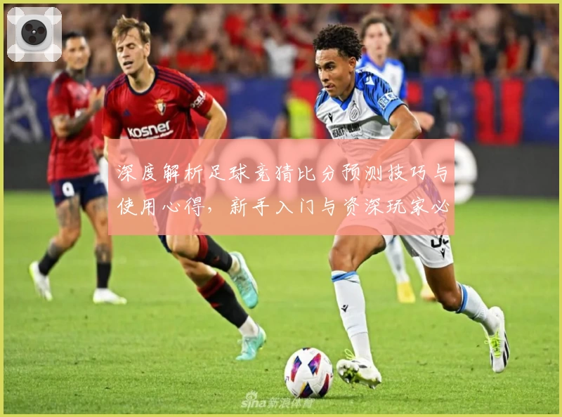 深度解析足球竞猜比分预测技巧与使用心得，新手入门与资深玩家必看指南