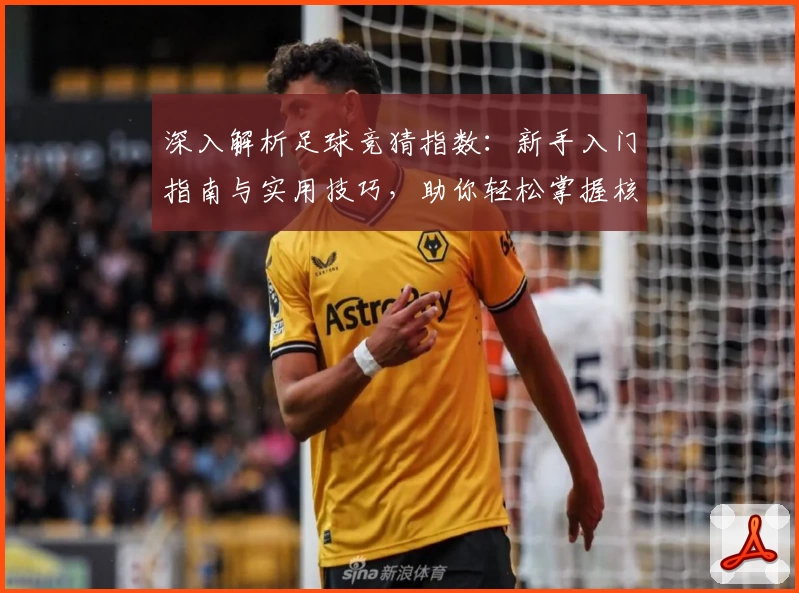 深入解析足球竞猜指数：新手入门指南与实用技巧，助你轻松掌握核心玩法